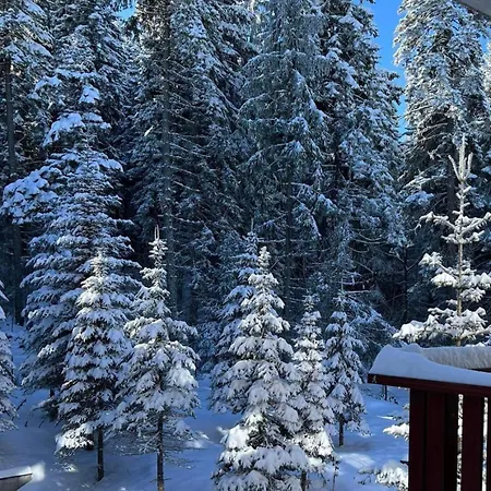 Arboro D21 Gardens 2 Bedroom Borovets